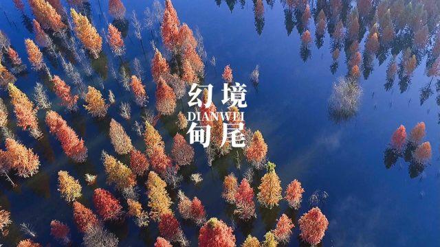 蓝狐视频