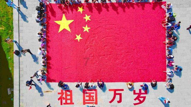 逗小猴开心系列194