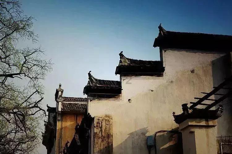 漆黑的森林逃脱